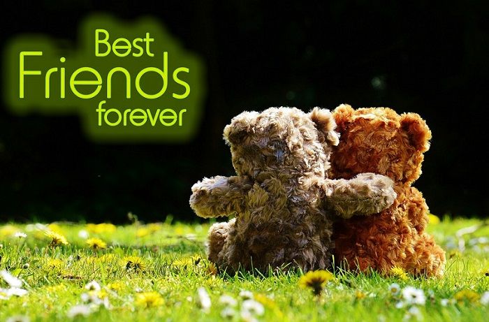 Friendship Status for Whatsapp (100 Best Cute Status for Friends Forever)