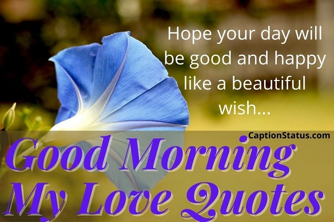 Good Morning My Love Quotes