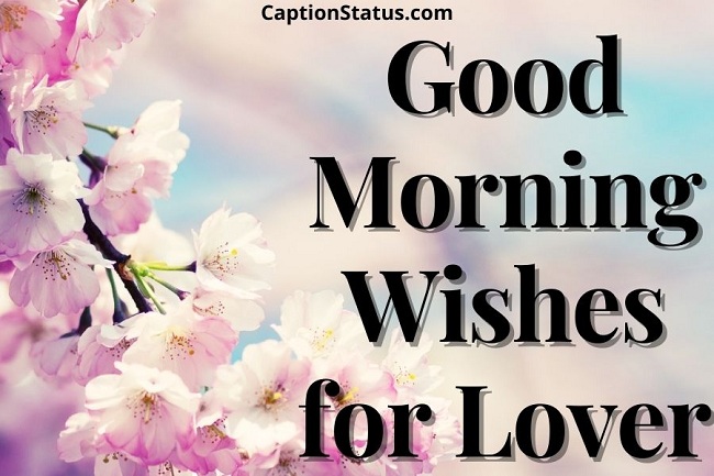 Good Morning Wishes for Lover