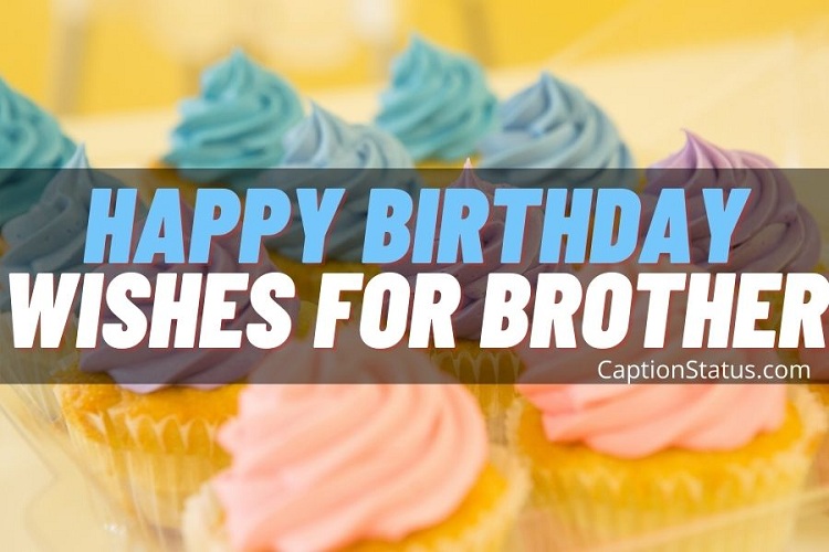 100+ Happy Birthday Wishes For Brother (B'day Photo Caption for Bro) 100+ Happy Birthday Wishes For Brother (B'day Photo Caption for Bro)