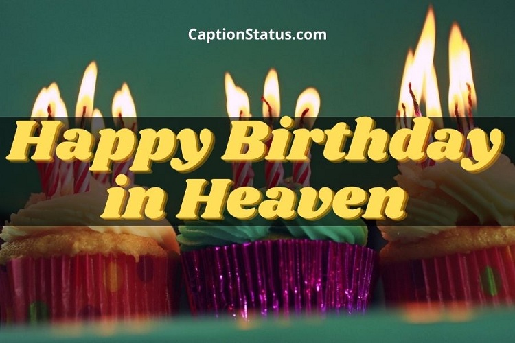 Image Result For Happy Birthday In Heaven Brother Brother Birthday Quotes Happy Birthday In Heaven Birthday In Heaven